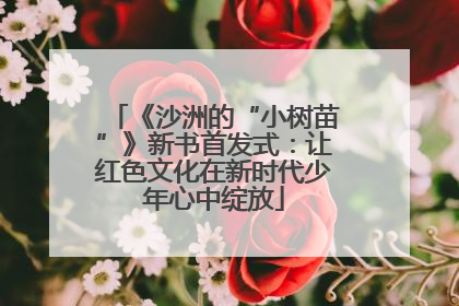 《沙洲的“小树苗”》新书首发式：让红色文化在新时代少年心中绽放