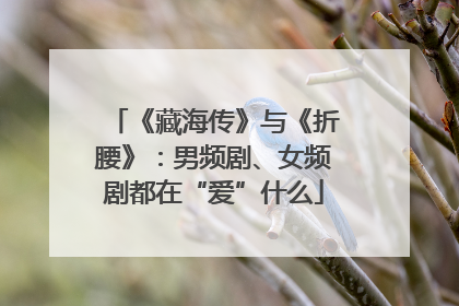 《藏海传》与《折腰》：男频剧、女频剧都在“爱”什么