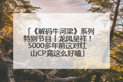 《解码牛河梁》系列特别节目丨龙凤呈祥！5000多年前这对红山CP竟这么好嗑