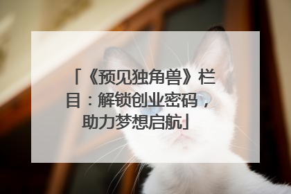 《预见独角兽》栏目：解锁创业密码，助力梦想启航
