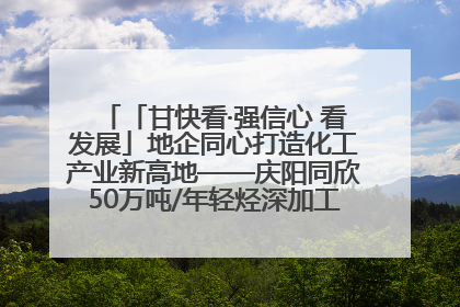 「甘快看·强信心 看发展」地企同心打造化工产业新高地——庆阳同欣50万吨/年轻烃深加工项目建设见闻