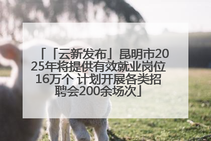 「云新发布」昆明市2025年将提供有效就业岗位16万个 计划开展各类招聘会200余场次