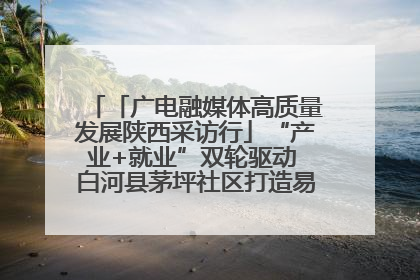 「广电融媒体高质量发展陕西采访行」“产业+就业”双轮驱动 白河县茅坪社区打造易地搬迁后扶新样本
