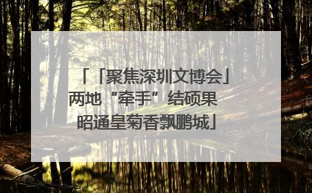 「聚焦深圳文博会」两地“牵手”结硕果 昭通皇菊香飘鹏城