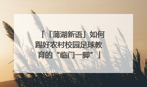 「蒲湖新语」如何踢好农村校园足球教育的“临门一脚”