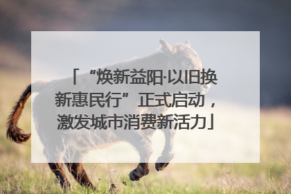 “焕新益阳·以旧换新惠民行”正式启动，激发城市消费新活力
