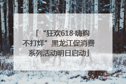 “狂欢618·嗨购不打烊”黑龙江促消费系列活动明日启动