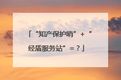 “知产保护哨”+“经盾服务站”=？