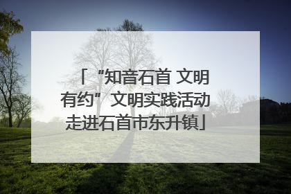 “知音石首 文明有约”文明实践活动走进石首市东升镇