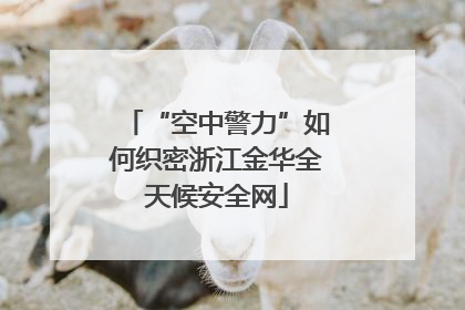 “空中警力”如何织密浙江金华全天候安全网