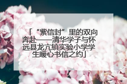 “紫信封”里的双向奔赴——清华学子与怀远县龙亢镇实验小学学生暖心书信之约
