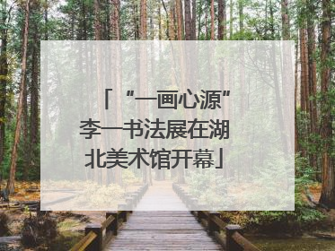 “一画心源”李一书法展在湖北美术馆开幕