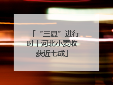 “三夏”进行时丨河北小麦收获近七成
