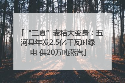 “三夏”麦秸大变身：五河县年发2.5亿千瓦时绿电 供20万吨蒸汽