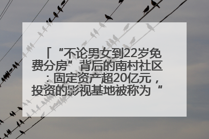 “不论男女到22岁免费分房”背后的南村社区：固定资产超20亿元，投资的影视基地被称为“山村好莱坞”