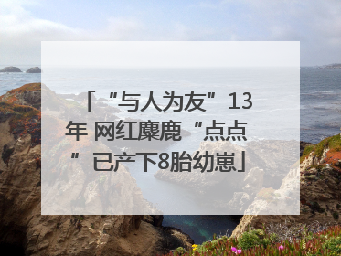 “与人为友”13年 网红麋鹿“点点”已产下8胎幼崽
