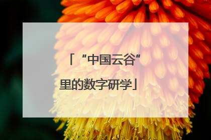 “中国云谷”里的数字研学
