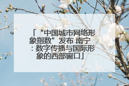 “中国城市网络形象指数”发布 南宁：数字传播与国际形象的西部窗口