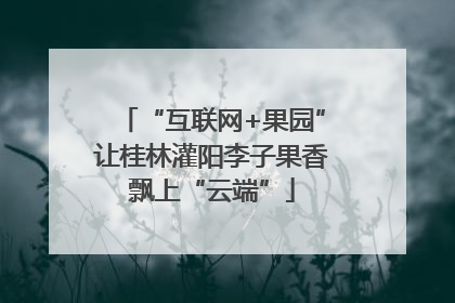 “互联网+果园”让桂林灌阳李子果香飘上“云端”