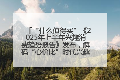 “什么值得买”《2025年上半年兴趣消费趋势报告》发布，解码“心价比”时代兴趣消费新范式
