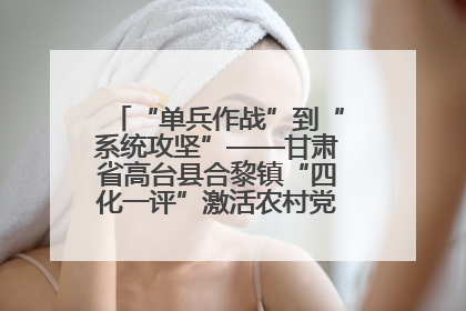 “单兵作战”到“系统攻坚”——甘肃省高台县合黎镇“四化一评”激活农村党员管理新引擎