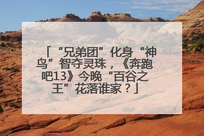 “兄弟团”化身“神鸟”智夺灵珠，《奔跑吧13》今晚“百谷之王”花落谁家？