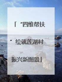 “四维帮扶”绘就莲湖村振兴新图景