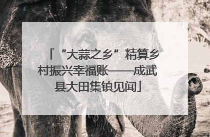 “大蒜之乡”精算乡村振兴幸福账——成武县大田集镇见闻