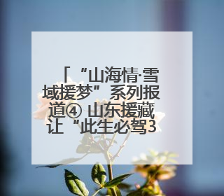 “山海情·雪域援梦”系列报道④ 山东援藏让“此生必驾318”多了N个理由