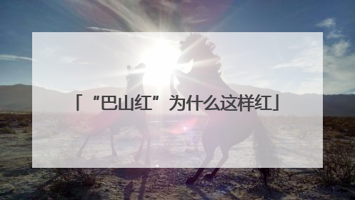 “巴山红”为什么这样红