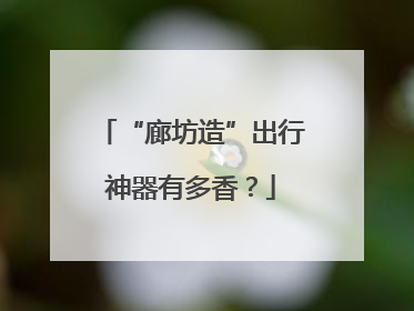 “廊坊造”出行神器有多香？