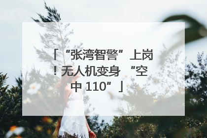 “张湾智警”上岗！无人机变身 “空中 110”