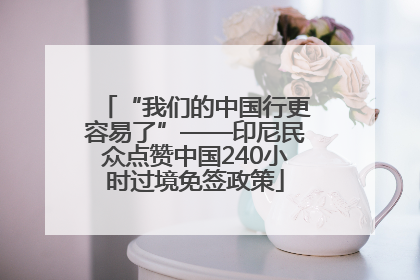 “我们的中国行更容易了”——印尼民众点赞中国240小时过境免签政策