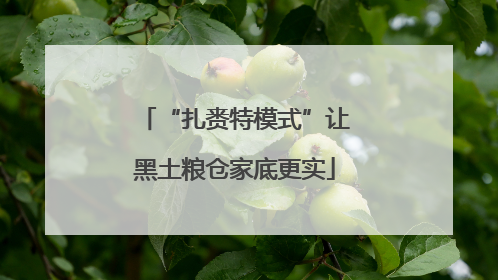 “扎赉特模式”让黑土粮仓家底更实