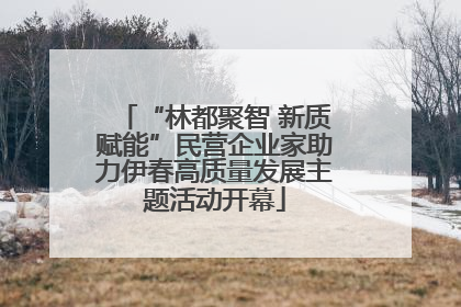“林都聚智 新质赋能”民营企业家助力伊春高质量发展主题活动开幕