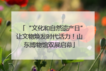 “文化和自然遗产日”让文物焕发时代活力！山东博物馆双展启幕
