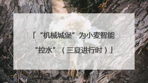 “机械城堡”为小麦智能“控水”（三夏进行时）