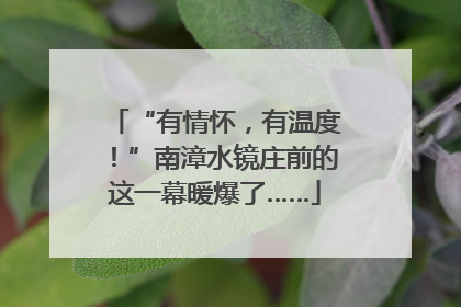 “有情怀，有温度！”南漳水镜庄前的这一幕暖爆了……