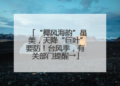 “椰风海韵”虽美，天降“巨叶”要防！台风季，有关部门提醒→