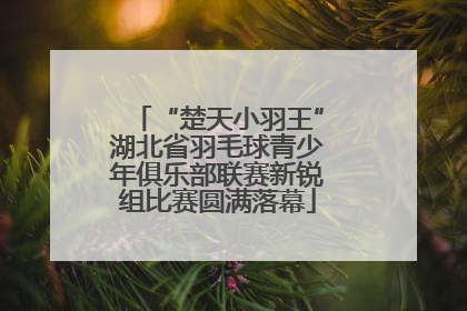 “楚天小羽王”湖北省羽毛球青少年俱乐部联赛新锐组比赛圆满落幕