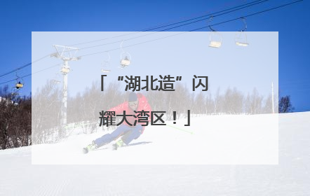 “湖北造”闪耀大湾区！