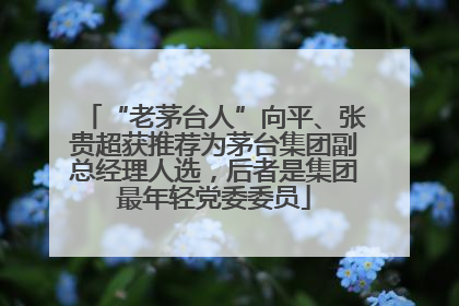 “老茅台人”向平、张贵超获推荐为茅台集团副总经理人选，后者是集团最年轻党委委员