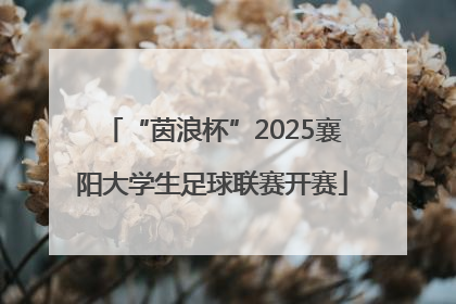 “茵浪杯”2025襄阳大学生足球联赛开赛