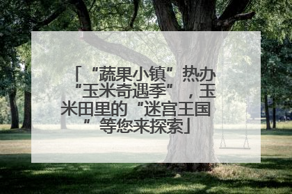 “蔬果小镇”热办“玉米奇遇季”，玉米田里的“迷宫王国”等您来探索