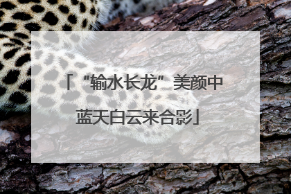“输水长龙”美颜中 蓝天白云来合影