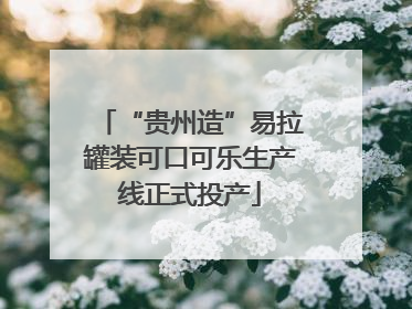 “贵州造”易拉罐装可口可乐生产线正式投产