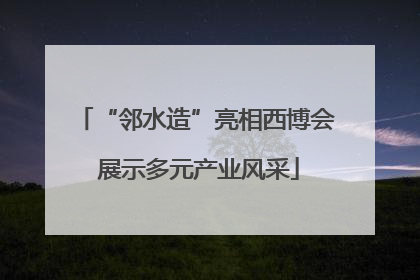 “邻水造”亮相西博会 展示多元产业风采