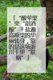 “酸苹果”变“甜酒酿”！盐源高原果的华丽转身，靠的是这场浙川千里“联姻”