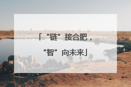 “链”接合肥，“智”向未来