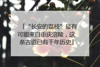 “长安的荔枝”最有可能来自重庆涪陵，这条古道已有千年历史